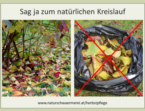 (Nicht)Arbeiten im Herbst