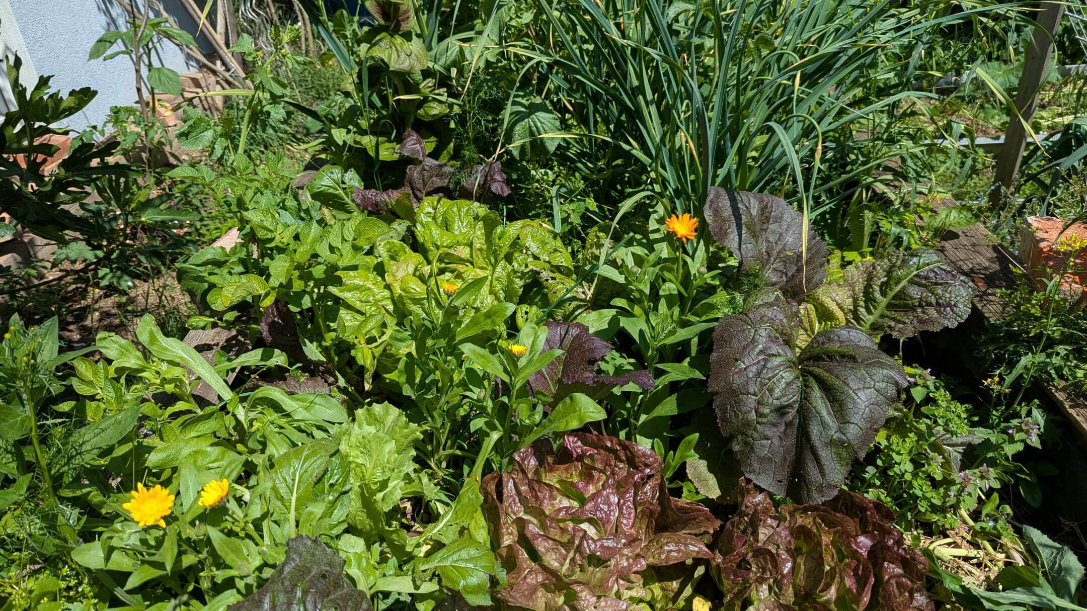 PXL_20250526_120401112